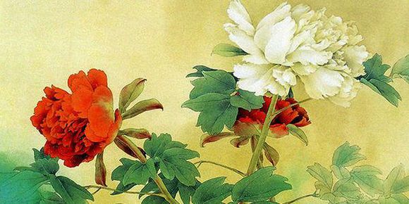 《木兰花·相离徒有相逢梦》张先宋词原文阅读翻译赏析