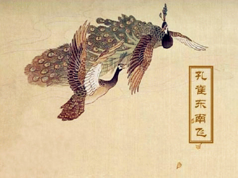 《孔雀东南飞》文言文阅读翻译注释